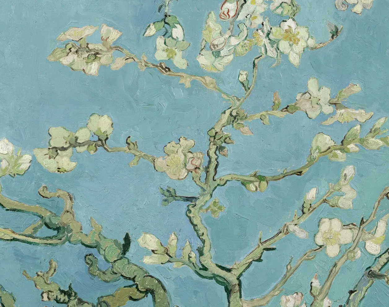 Detail of Almond Blossom showing white blossoms outlined in dark green against an even turquoise ground.