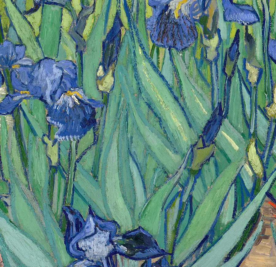 Detail of the iris blooms and leaves, showing thick single brushstrokes standing proud of the canvas and dark outlines around the petals.